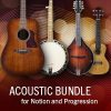 Acoustic Bundle